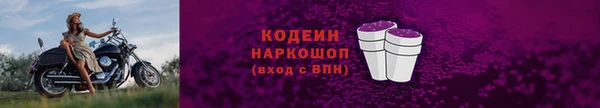 СК Кодинск