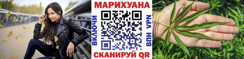 как найти   Полесск  Каннабис планчик 